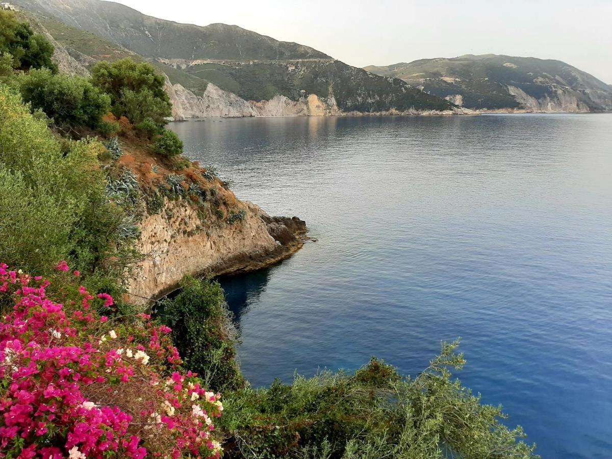 Cavos Inn Apartments Kefalonia Asos Bagian luar foto