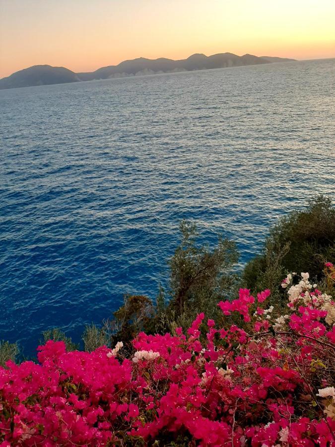 Cavos Inn Apartments Kefalonia Asos Bagian luar foto