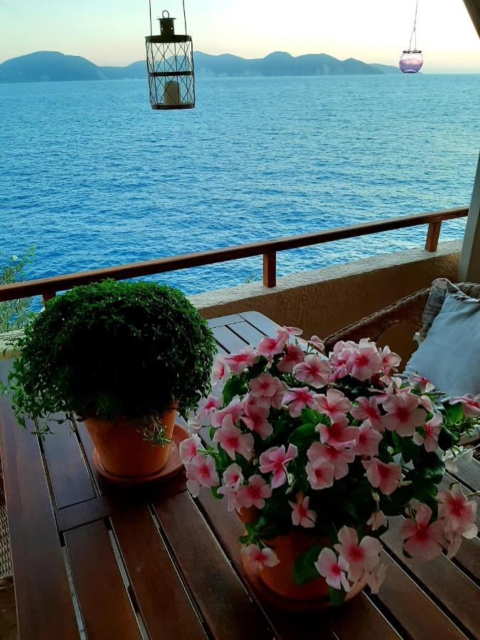 Cavos Inn Apartments Kefalonia Asos Bagian luar foto